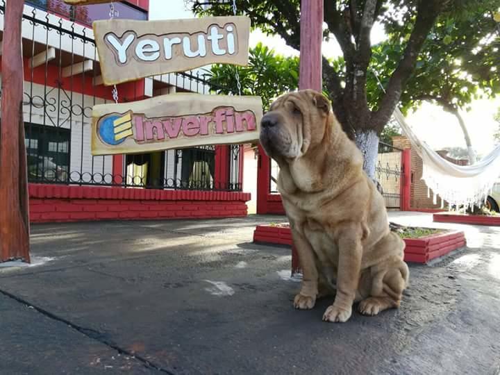 Posada Turistica Yeruti Энкарнасьон Экстерьер фото